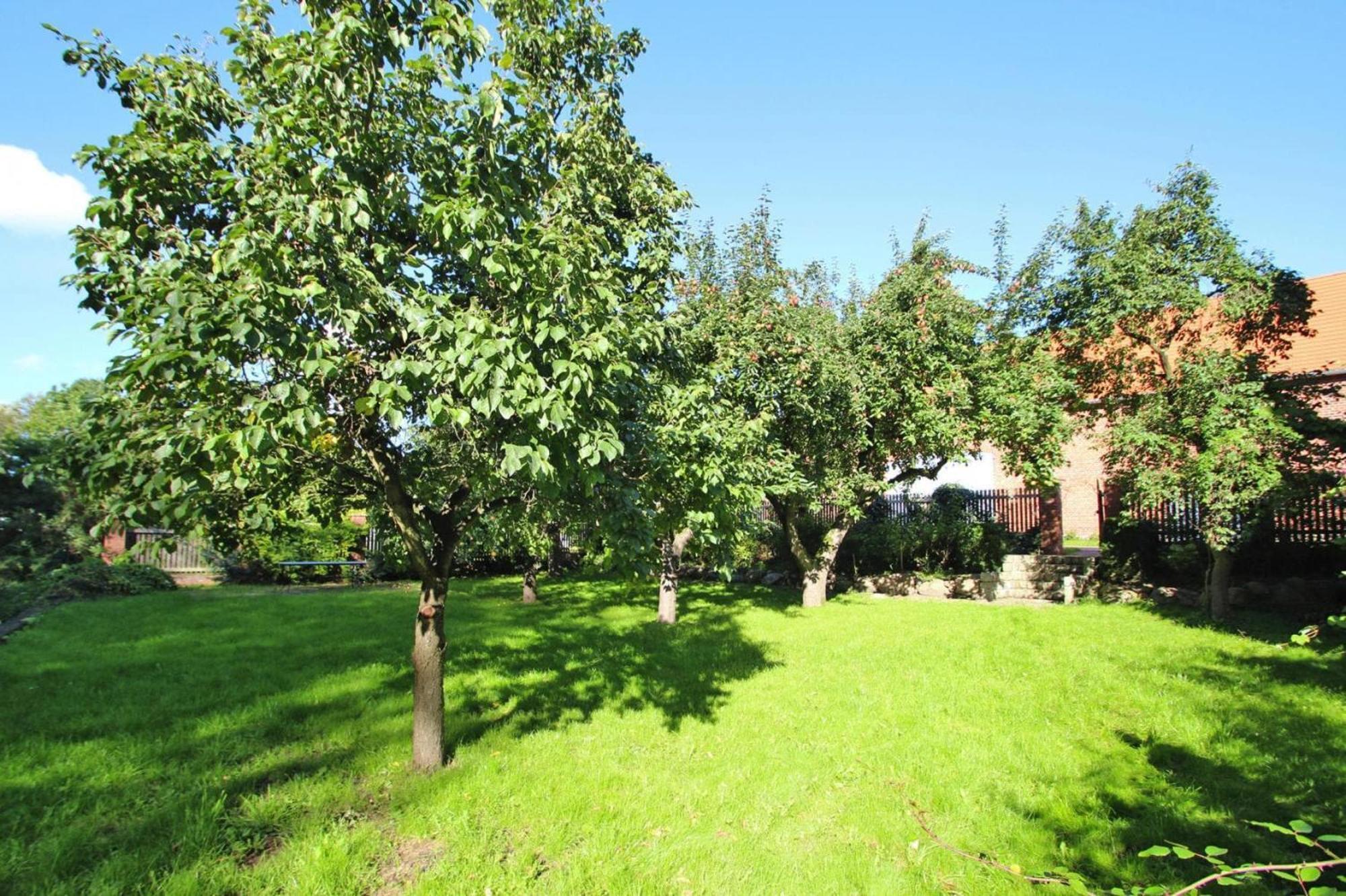 Ferienhaus Rosenhof In Lenzen エクステリア 写真
